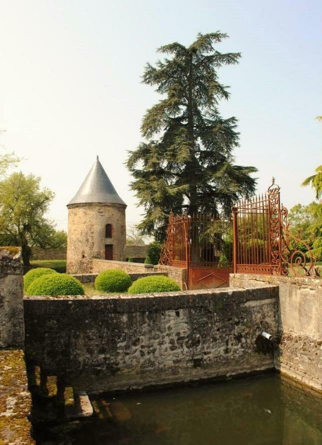 Logis De La Helberdiere Cossé-en-Champagne Zewnętrze zdjęcie